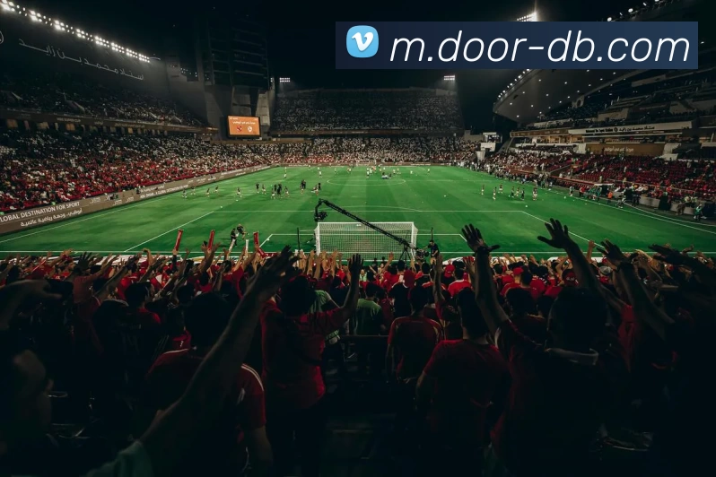 DB真人平台生态图