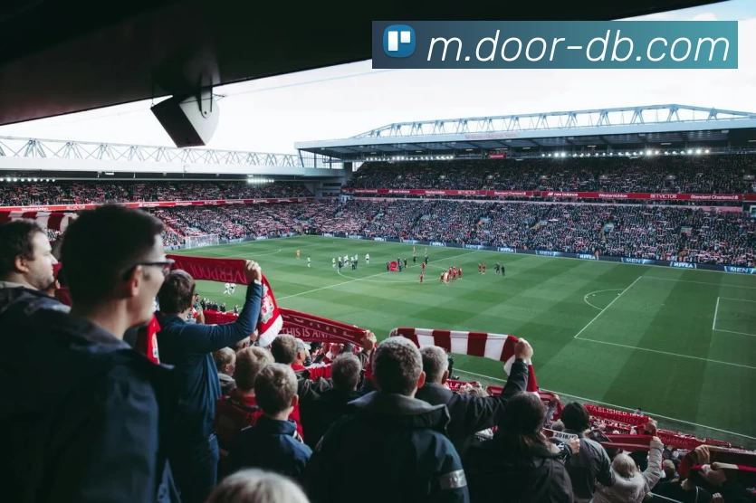 DB真人APP 封面图